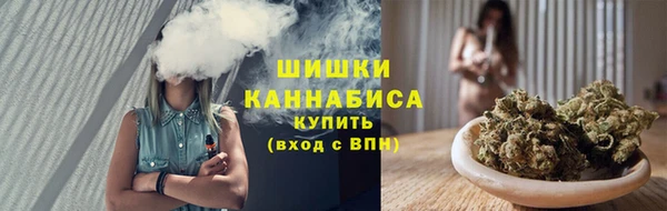 гашик Арсеньев