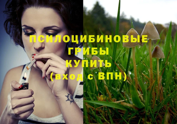 герыч Алексеевка