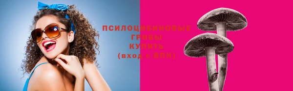 соль ск Алексин