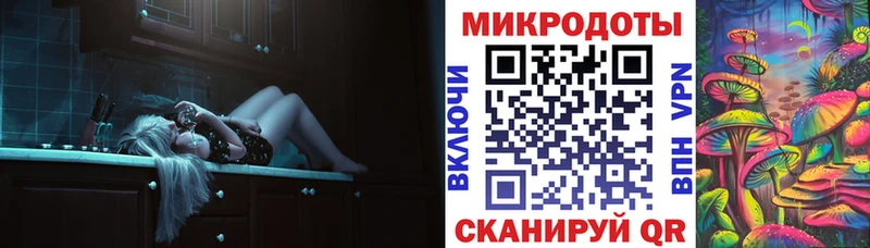 Галлюциногенные грибы Psilocybine cubensis  Бологое 
