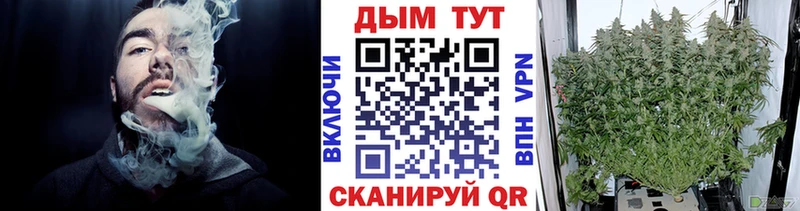 hydra как зайти  где купить наркотик  Бологое  Конопля тримм 